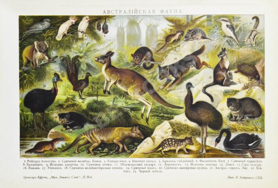 Малый энциклопедический словарь