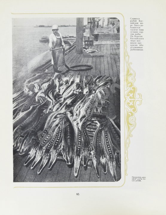 Антикварная книга Двадцать лет Казахстана Антикварная книга Двадцать лет Казахстана