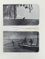 Двадцать лет Казахстана