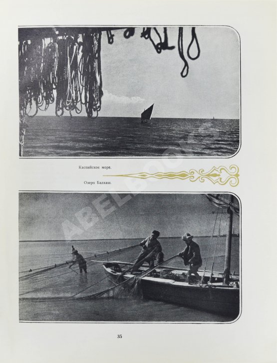 Антикварная книга Двадцать лет Казахстана Антикварная книга Двадцать лет Казахстана