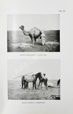 Карутц, Р. Среди киргизов и туркменов на Мангышлаке