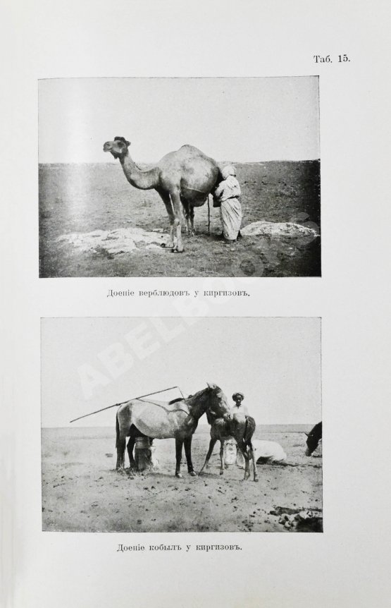 Антикварная книга Карутц, Р. Среди киргизов и туркменов на Мангышлаке