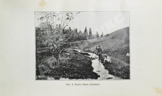 Антикварная книга Лепешинская, А.В., Добрынин, Б.Ф. Волга