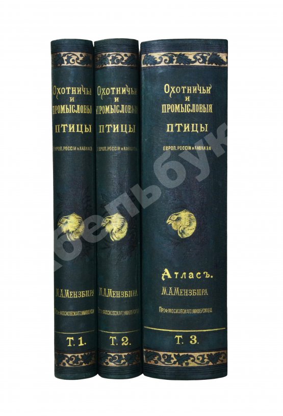 Антикварная книга Мензбир, М.А. Охотничьи и промысловые птицы Европейской России и Кавказа. С атласом из 140 таблиц