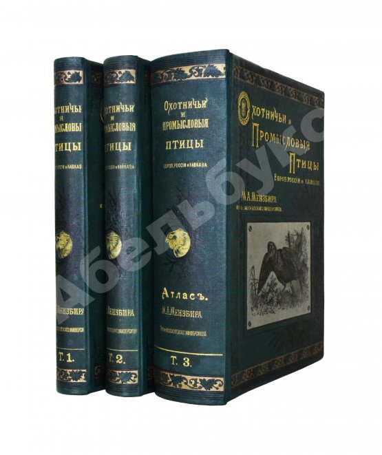 Антикварная книга Мензбир, М.А. Охотничьи и промысловые птицы Европейской России и Кавказа. С атласом из 140 таблиц