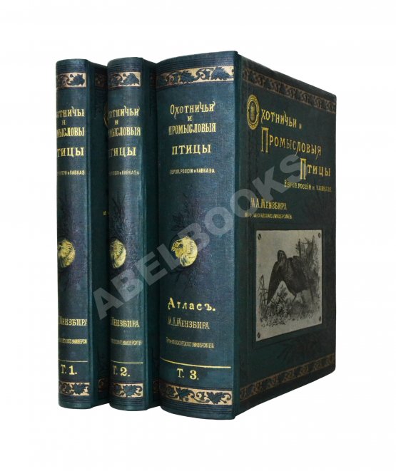 Антикварная книга Мензбир, М.А. Охотничьи и промысловые птицы Европейской России и Кавказа. С атласом из 140 таблиц