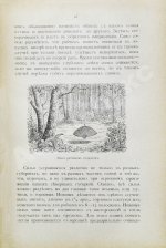 Мензбир, М.А. Охотничьи и промысловые птицы Европейской России и Кавказа. С атласом из 140 таблиц