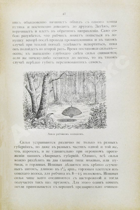 Антикварная книга Мензбир, М.А. Охотничьи и промысловые птицы Европейской России и Кавказа. С атласом из 140 таблиц