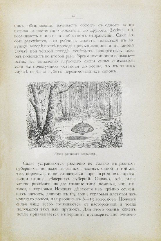 Антикварная книга Мензбир, М.А. Охотничьи и промысловые птицы Европейской России и Кавказа. С атласом из 140 таблиц