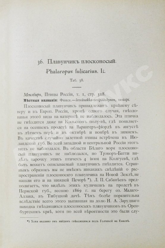 Антикварная книга Мензбир, М.А. Охотничьи и промысловые птицы Европейской России и Кавказа. С атласом из 140 таблиц