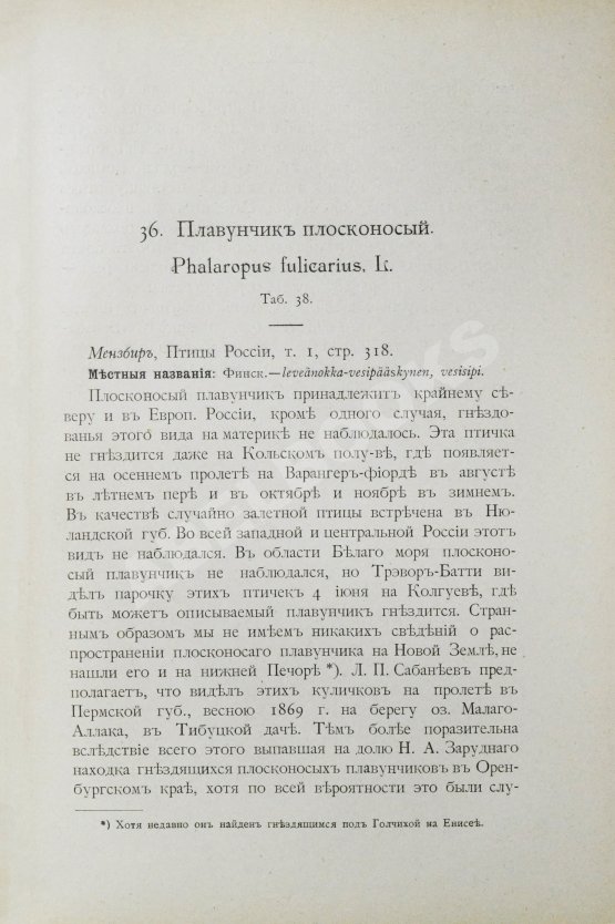Антикварная книга Мензбир, М.А. Охотничьи и промысловые птицы Европейской России и Кавказа. С атласом из 140 таблиц