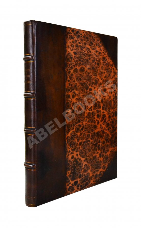 Антикварная книга Ассонов, В.И. [автограф Константину Циолковскому] Галилей и Ньютон. Биографии