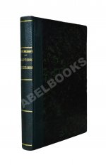 Михневич, В.О. Картинки петербургской жизни