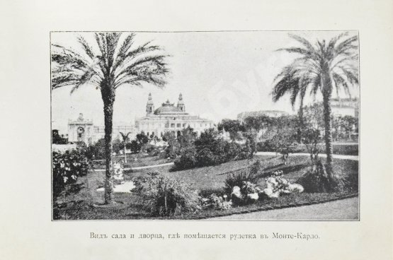 Антикварная книга Молчанов, А.Н. Царство рулетки