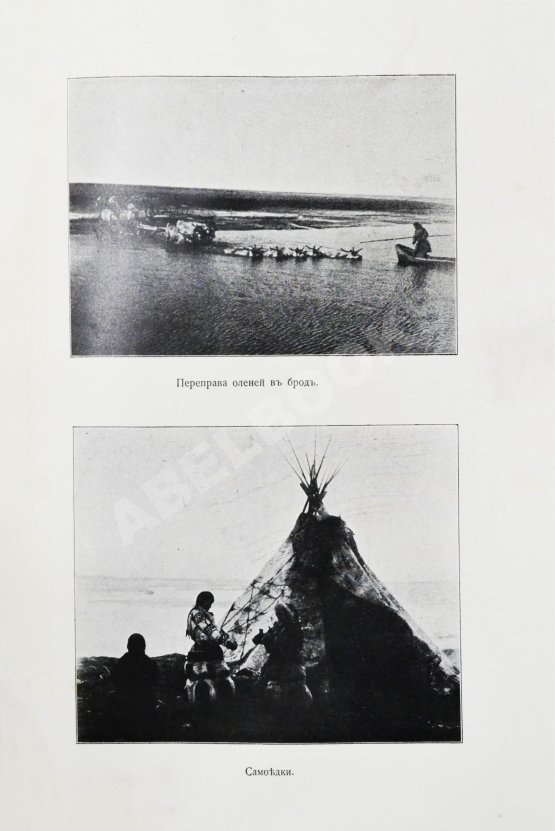 Антикварная книга Новосильцов, А.Н. Большеземельская тундра и ледовитый океан