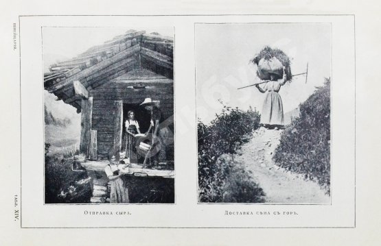 Антикварная книга Стори, А.Т. Швейцария