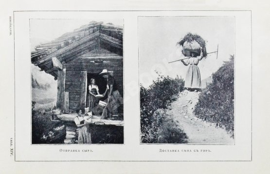 Антикварная книга Стори, А.Т. Швейцария