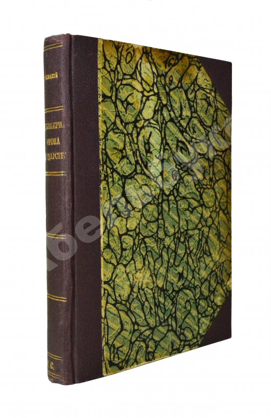 Антикварная книга Буйницкий, Н.А. Инженерная оборона государств