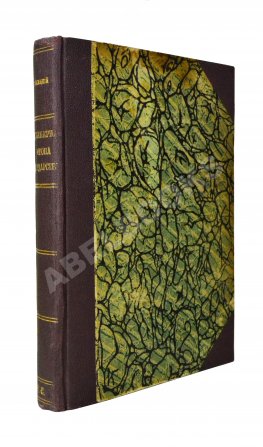 Буйницкий, Н.А. Инженерная оборона государств