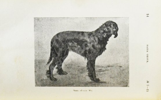 Наша охота. Двухнедельный журнал. Годовой комплект за 1915 год