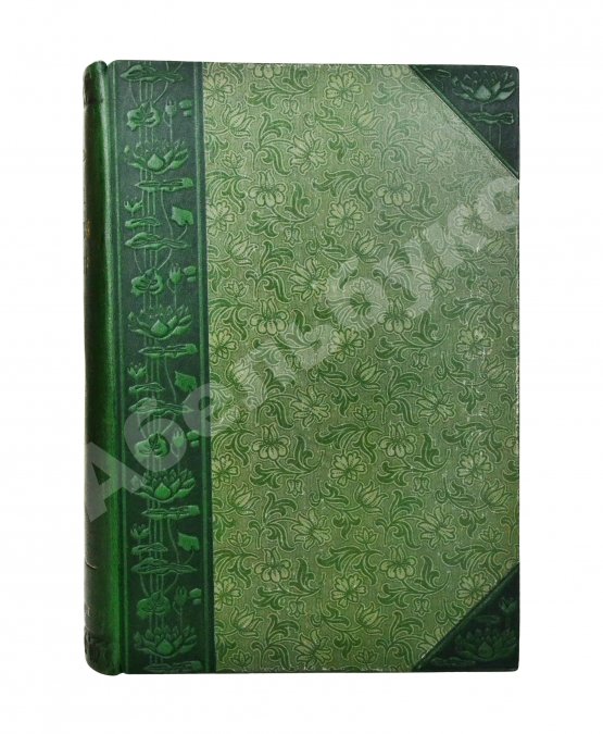 Варлих, В.К. Русские лекарственные растения