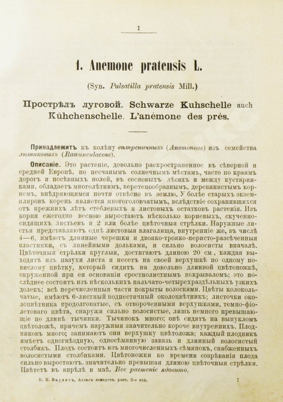 Варлих, В.К. Русские лекарственные растения