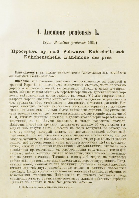 Варлих, В.К. Русские лекарственные растения