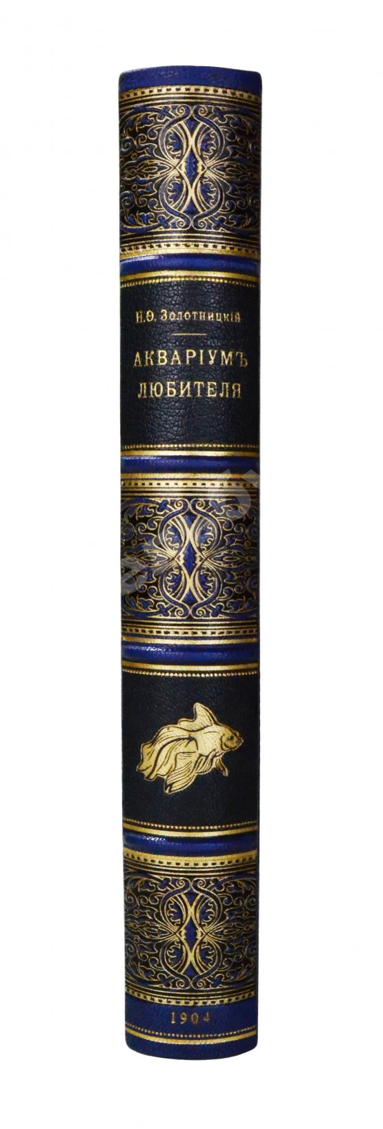 Антикварная книга Золотницкий, Н.Ф. Аквариум любителя