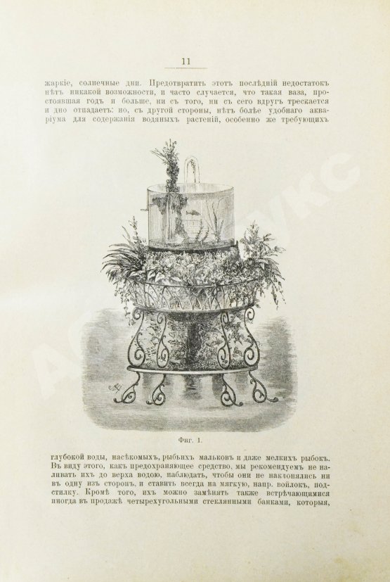 Антикварная книга Золотницкий, Н.Ф. Аквариум любителя