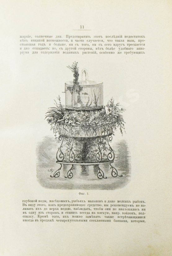 Антикварная книга Золотницкий, Н.Ф. Аквариум любителя