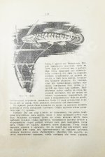 Золотницкий, Н.Ф. Аквариум любителя