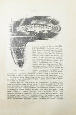 Золотницкий, Н.Ф. Аквариум любителя