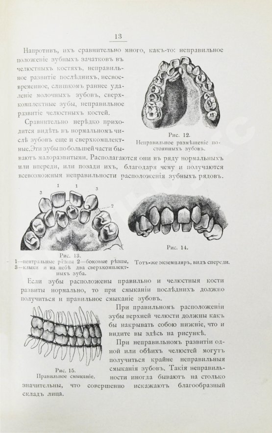 Антикварная книга Фишер, А.В. Зубы, их значение и необходимые мероприятия к сохранению их