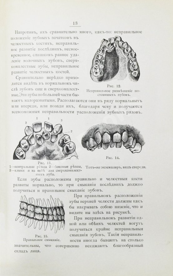 Антикварная книга Фишер, А.В. Зубы, их значение и необходимые мероприятия к сохранению их