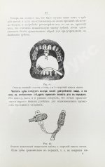 Фишер, А.В. Зубы, их значение и необходимые мероприятия к сохранению их