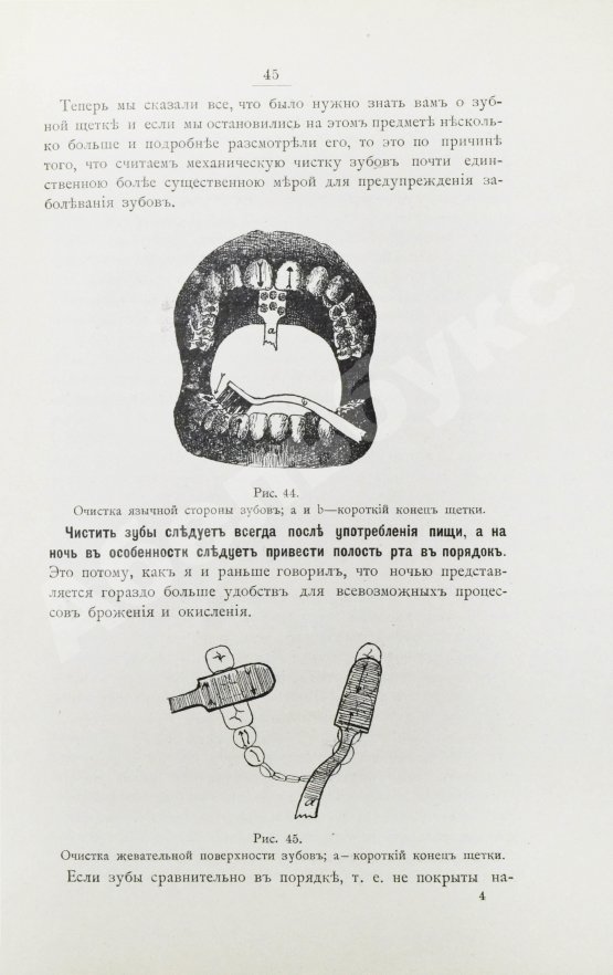 Антикварная книга Фишер, А.В. Зубы, их значение и необходимые мероприятия к сохранению их