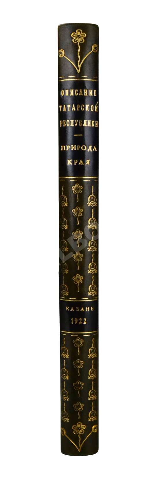 Антикварная книга Географическое описание Татарской С.С. Республики
