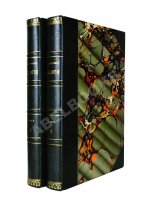 Иностранцев, А.А. [автограф] Геология