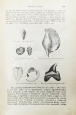 Иностранцев, А.А. [автограф] Геология