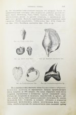 Иностранцев, А.А. [автограф] Геология