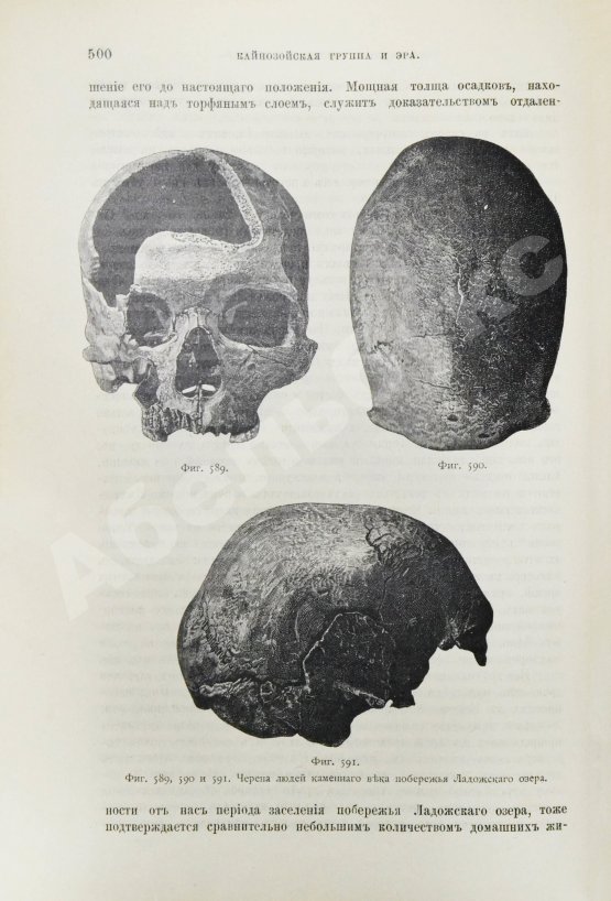 Антикварная книга Иностранцев, А.А. [автограф] Геология