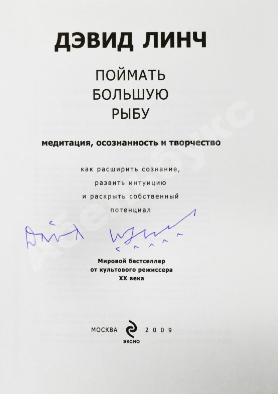 Антикварная книга Линч, Д. [автограф] Поймать большую рыбу. Медитация, осознанность и творчество