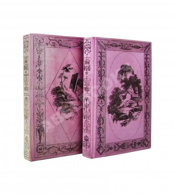 Антикварная книга Le Petit Modiste Français. Dédié au Dames