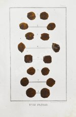 Сонцов, Д.П. Деньги и пулы Древней Руси, великокняжеские и удельные