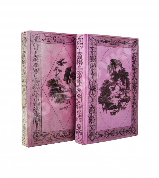 Антикварная книга Le Petit Modiste Français. Dédié au Dames