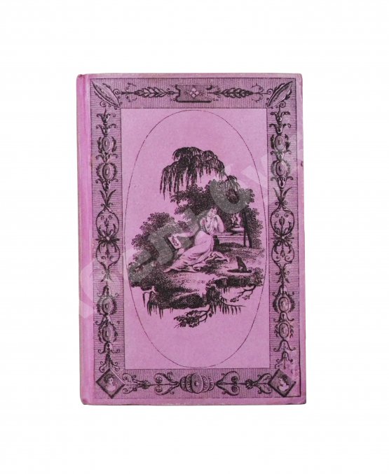 Антикварная книга Le Petit Modiste Français. Dédié au Dames