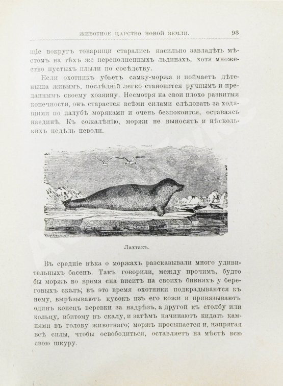 Антикварная книга Гранстрем, Э.А. Вдоль полярных окраин России