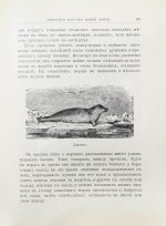 Гранстрем, Э.А. Вдоль полярных окраин России