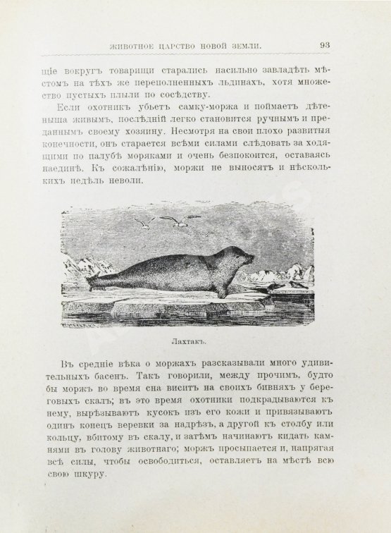 Антикварная книга Гранстрем, Э.А. Вдоль полярных окраин России