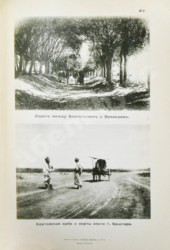 Антикварная книга Новицкий, В.Ф. Из Индии в Фергану